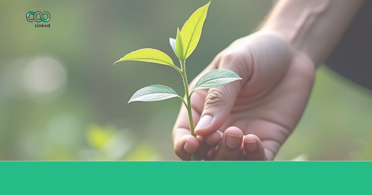 wie lange dauert es bis seo massnahmen greifen outline 2